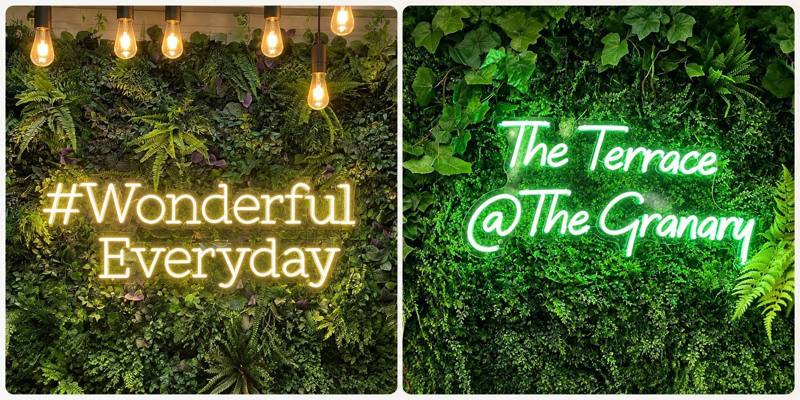Two custom neon signs on lush plant walls: wonderful everyday and the terrace at the granary.